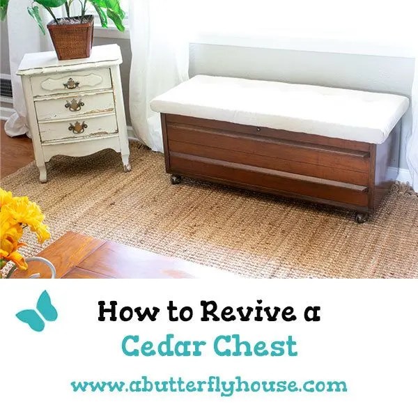 How to Revive a Cedar Chest A Butterfly House