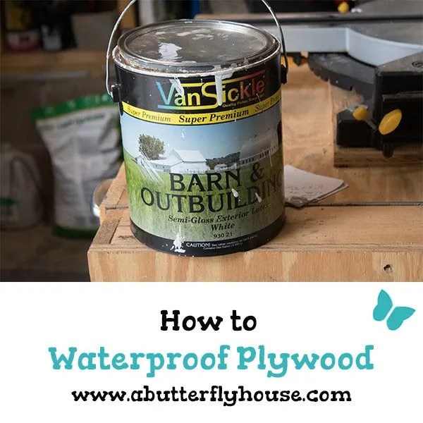 Can Exterior Plywood Be Painted? The Habit of Woodworking