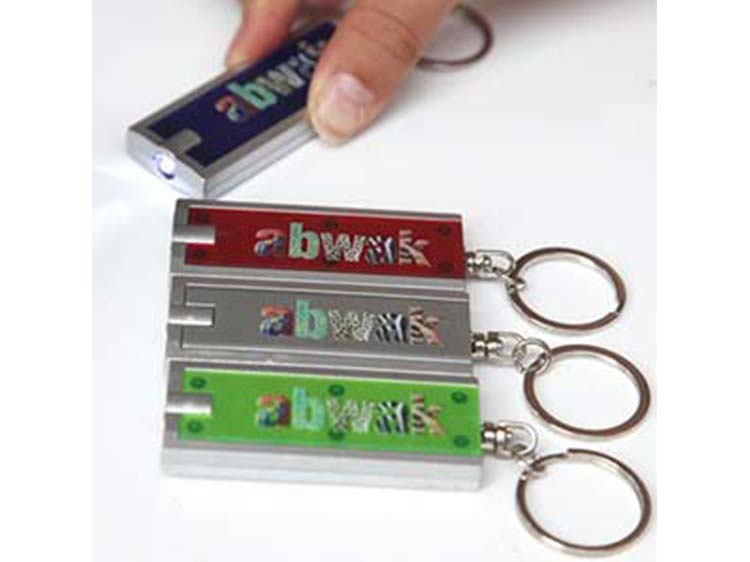 Torch Keyrings ABWAK Association of British and Irish Wild Animal