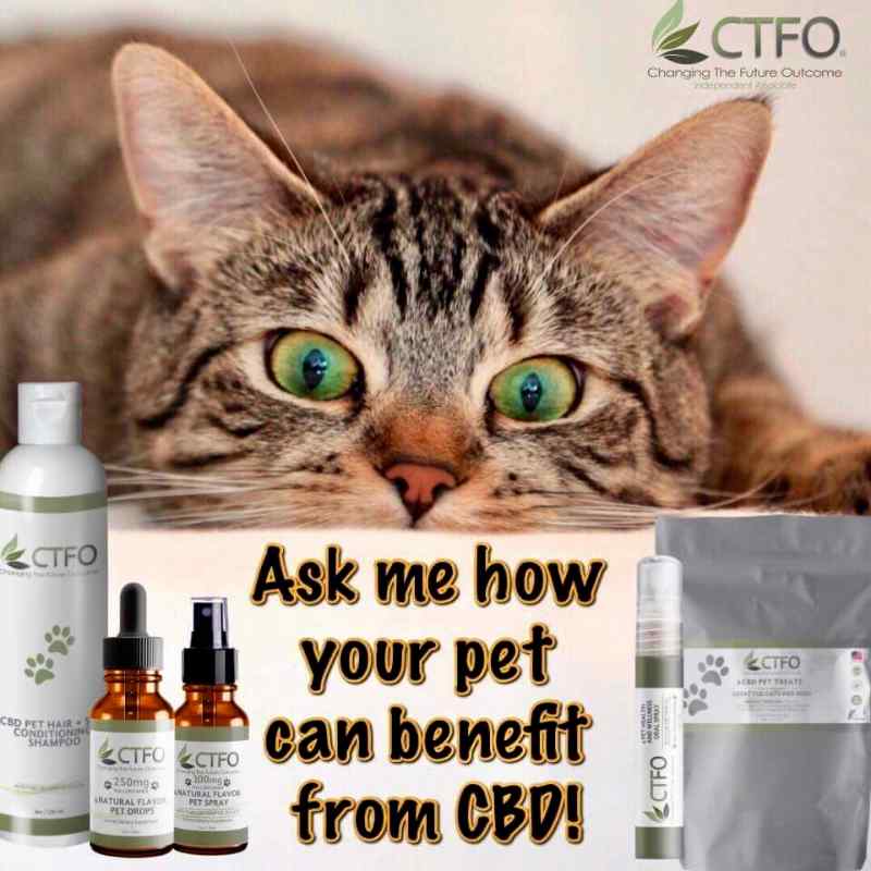 CBD Oil For Pets A Better Way Pet Sitting