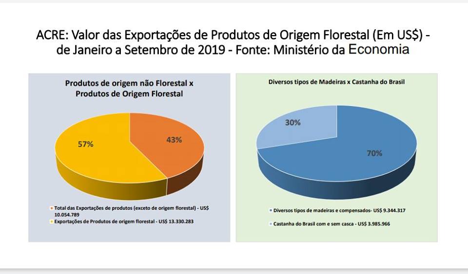Fórum diz que produtos florestais injetaram 13 milhões na economia do