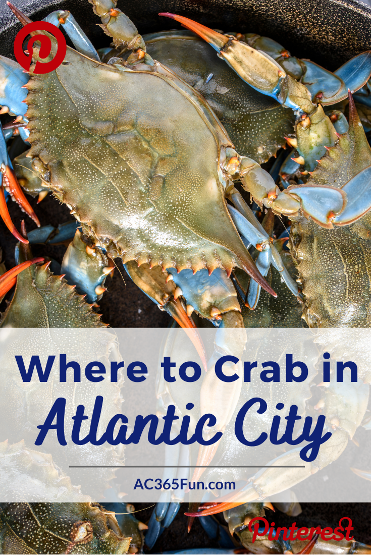 Crabbing in New Jersey and Where to Crab Near Atlantic City AC 365 Fun