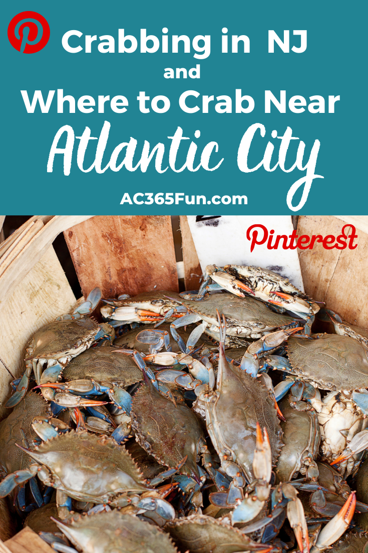 Crabbing in New Jersey and Where to Crab Near Atlantic City AC 365 Fun