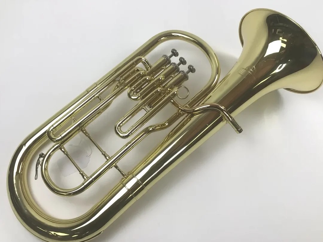 What is the Difference Between Bass and Baritone? A Friendly Guide