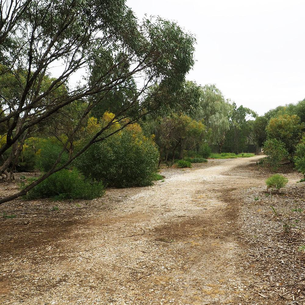 Natural Burials Adelaide Cemeteries