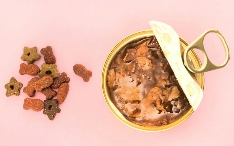 Best Canned Dog Food A Guide to Nourishing Your Furry Friend