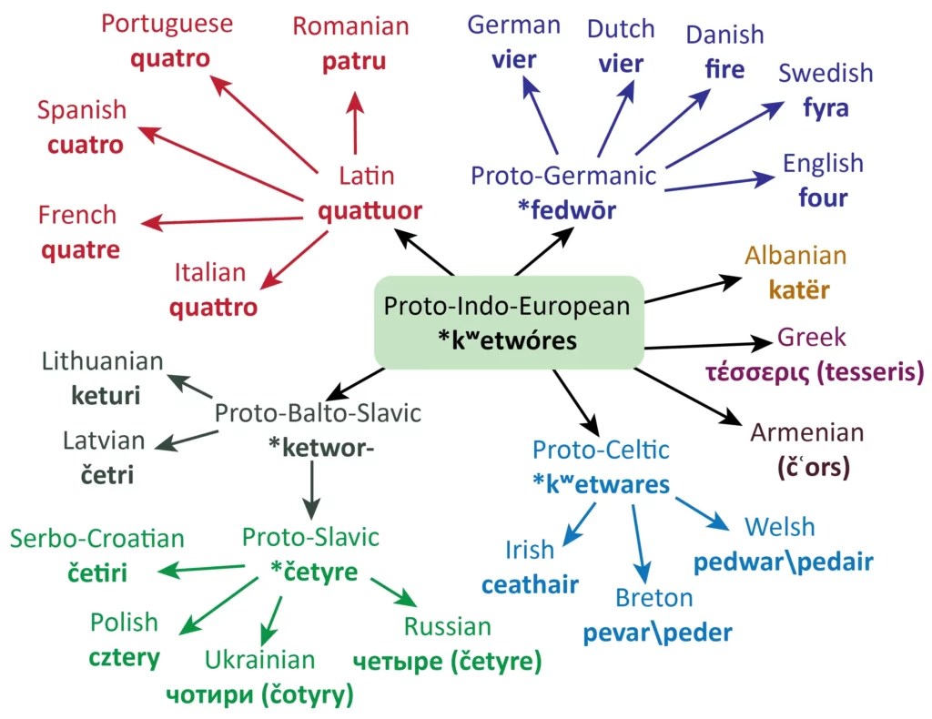 Raíz (lingüística) _ AcademiaLab