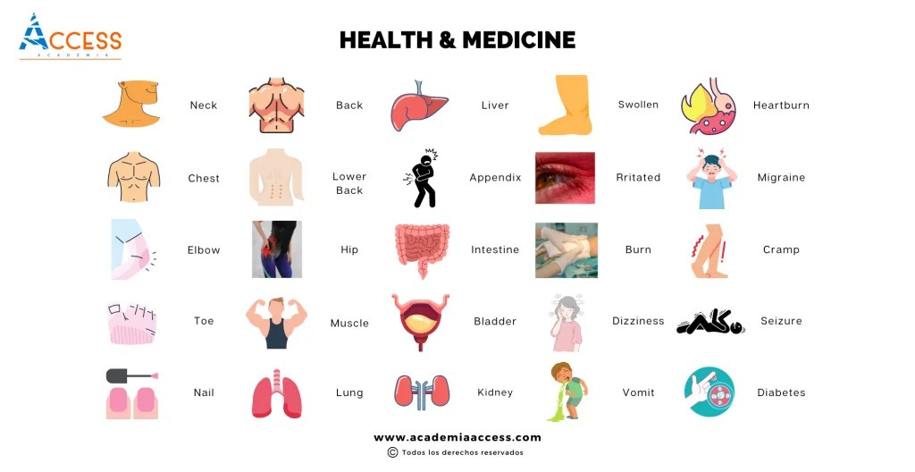 Vocabulario de Salud y Medicina en Inglés + PDF Academia Access