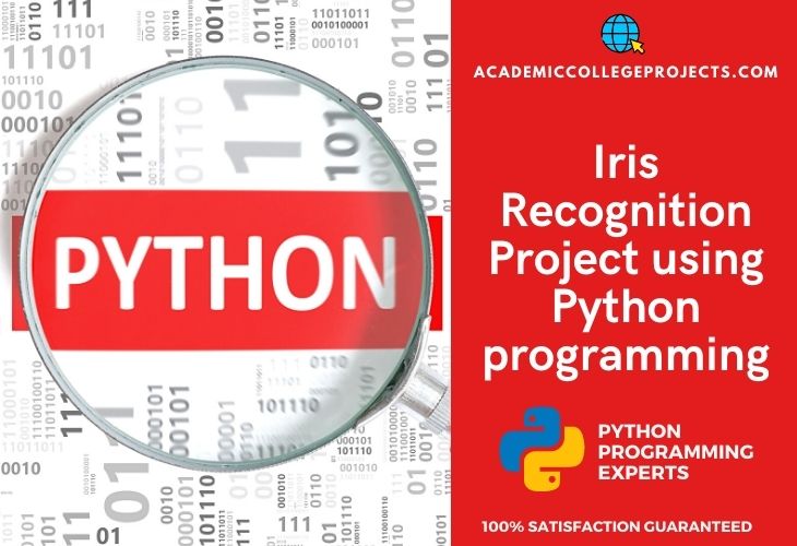 Implementing Iris Recognition Project using Python Code Development