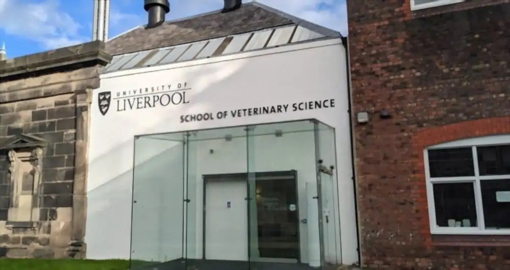 8 Easiest Veterinary Schools for Admission in the U.S. Academicful