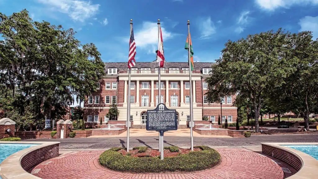 The Most Affordable Law Schools in Florida for 2024 Academicful
