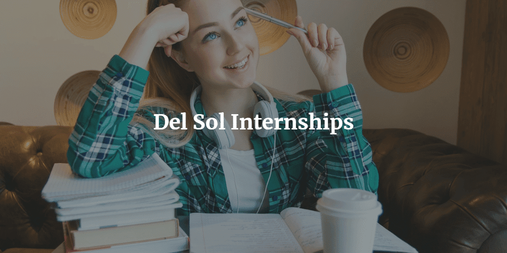 Del Sol Internship 2024: Application Guide - Academicful