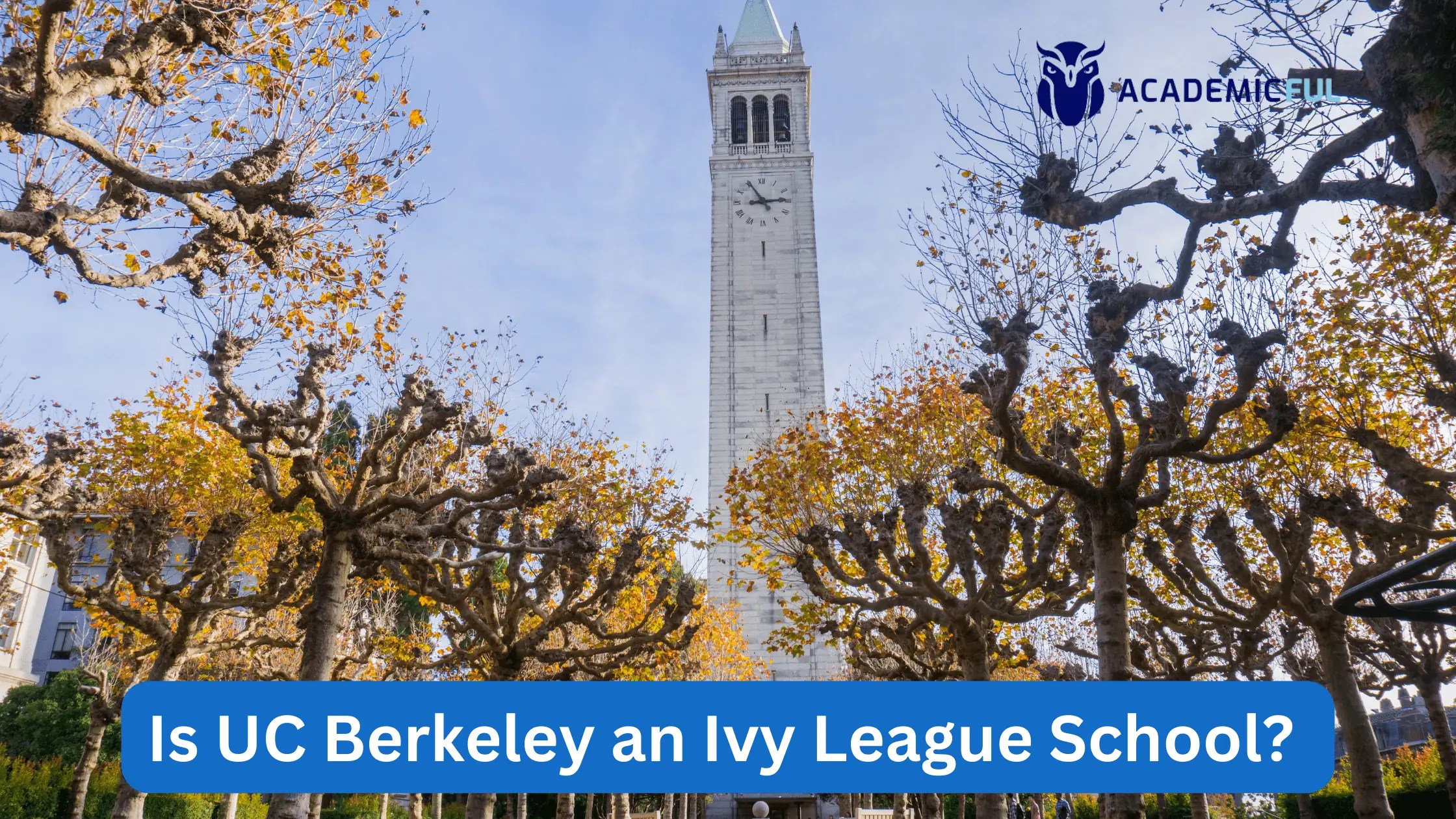 Is Ivy League? Exploring Its Academic Prestige Academicful