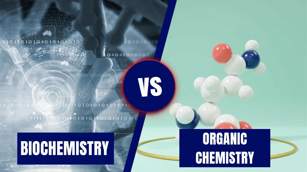 Biochemistry vs Organic Chemistry Which is Harder? Academicful