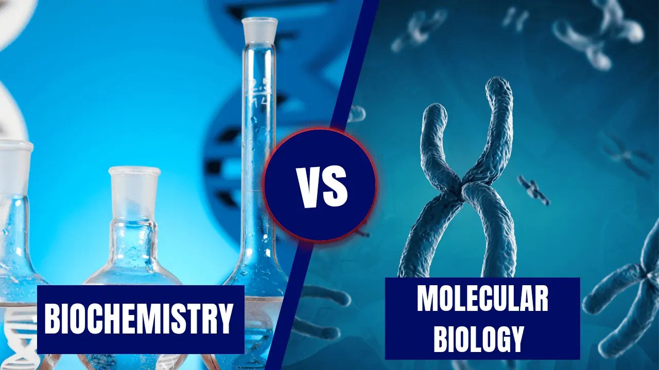 Biochemistry vs Molecular Biology Which Major is Better? Academicful