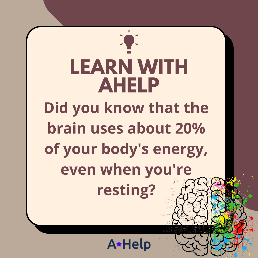 The Truth Behind The Use of Energy by The Brain How Much Energy Our