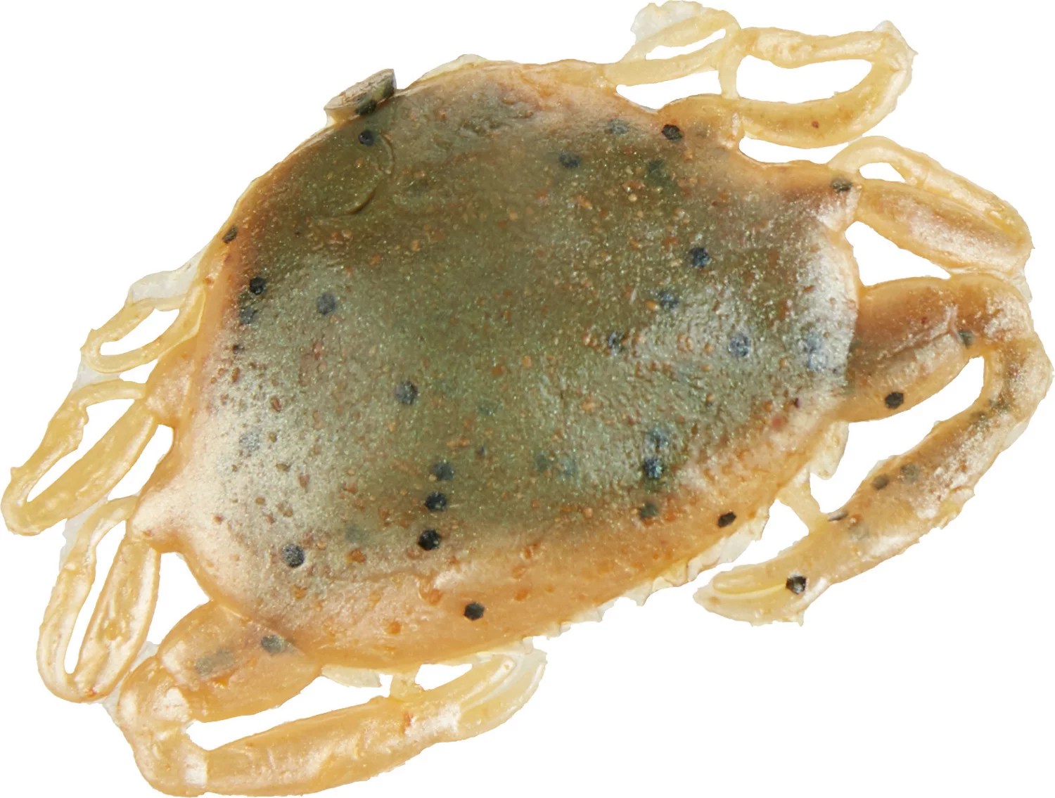 Berkley® Gulp!® 2" Peeler Crab Baits 5Pack Academy