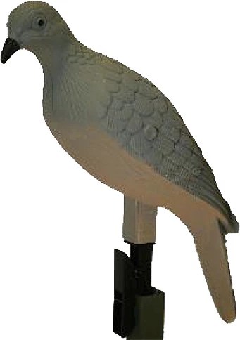 MOJO Outdoors ClipOn Dove Decoys 4Pack Academy