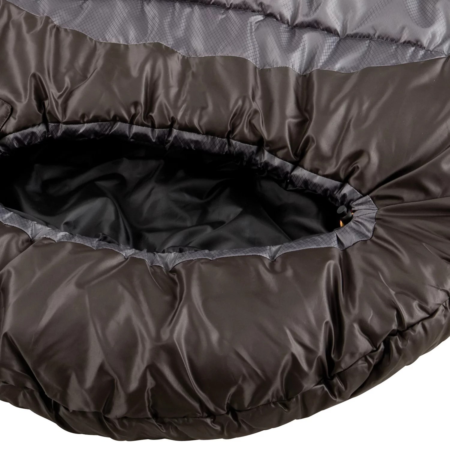 Coleman™ Big Basin™ Extreme Weather 15°F Mummy Sleeping Bag Academy