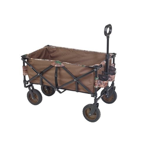 Folding Sports Wagon & Removable Bed