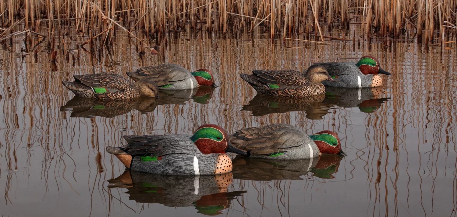 AvianX Topflight GreenWinged Teal Decoys Set Academy