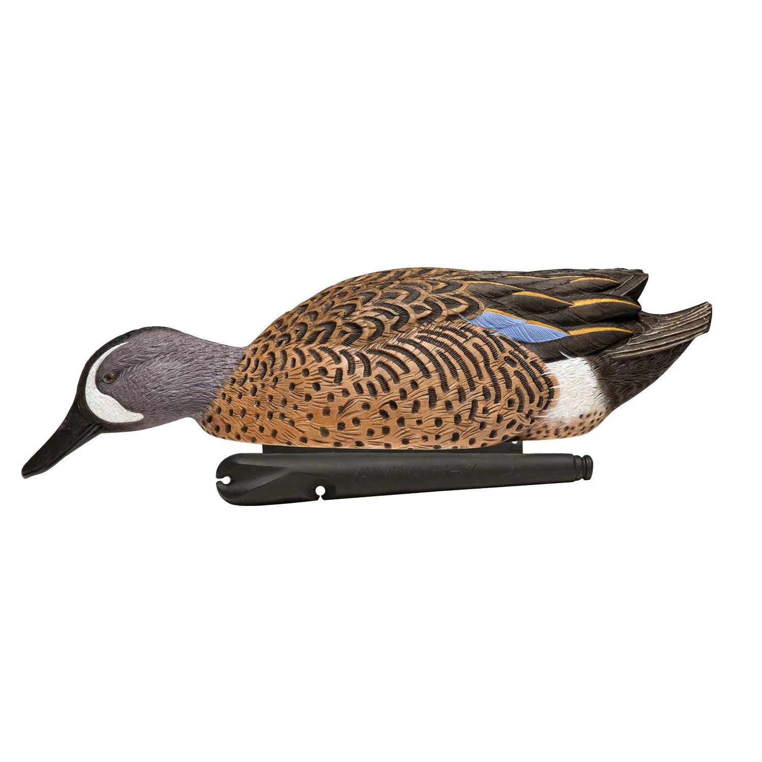 AvianX Topflight BlueWinged Teal Decoys Set Academy