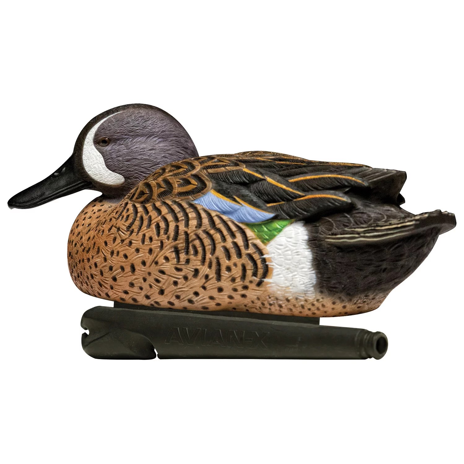 AvianX Topflight BlueWinged Teal Decoys Set Academy