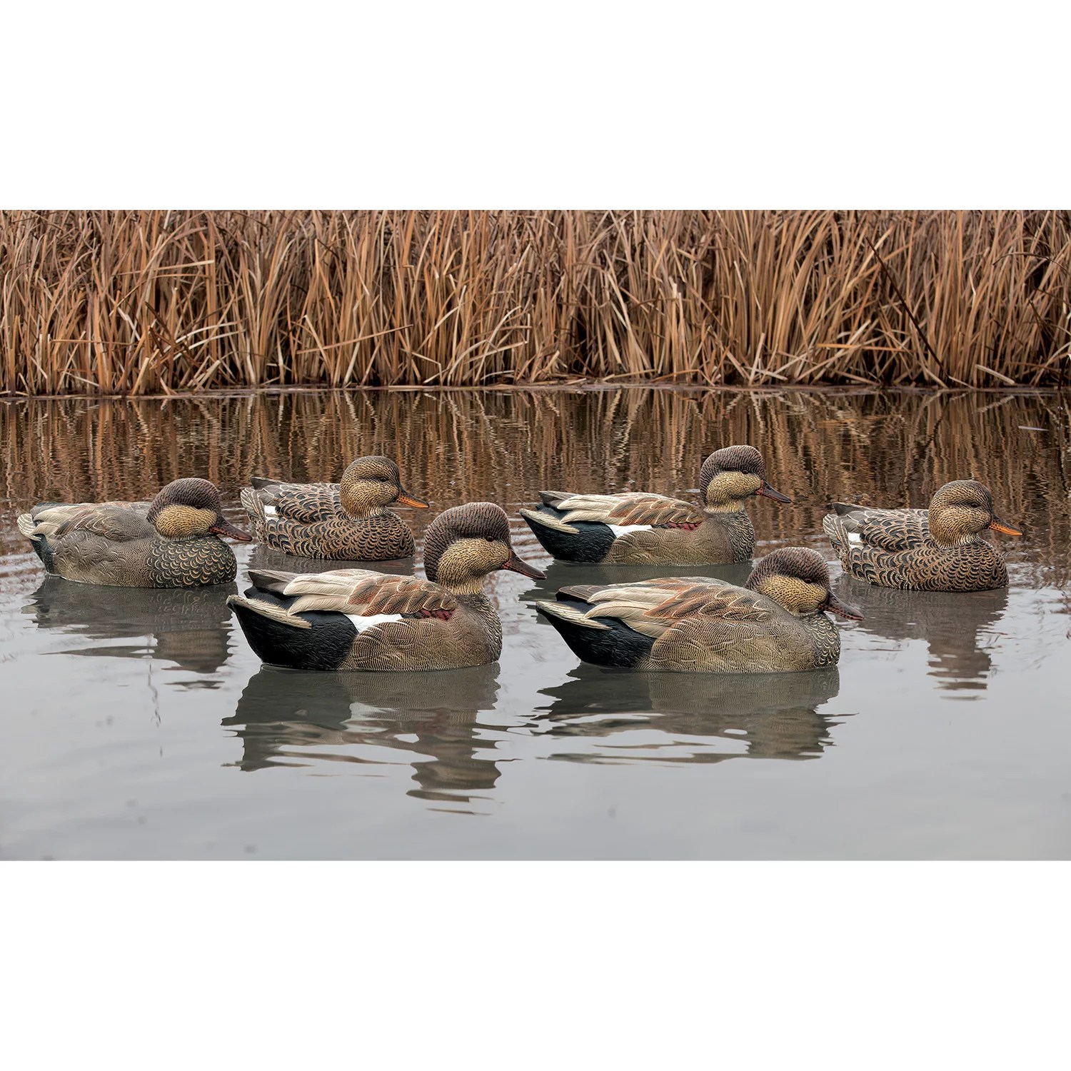 AvianX Topflight Gadwall Decoys 6Pack Academy