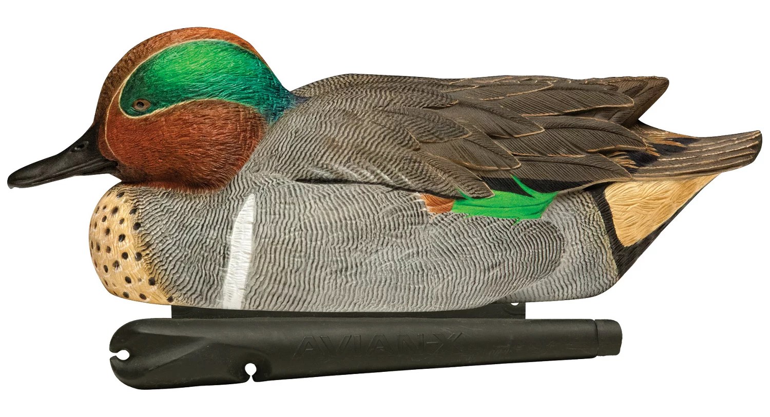 AvianX Topflight GreenWinged Teal Decoys Set Academy