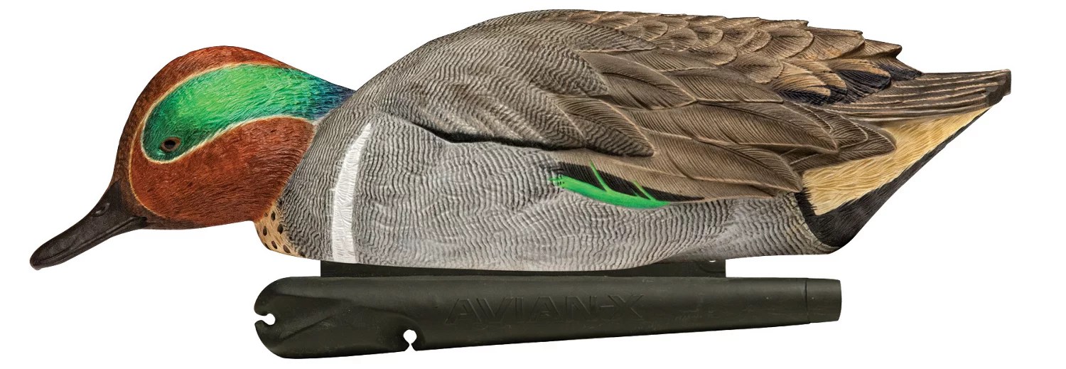 AvianX Topflight GreenWinged Teal Decoys Set Academy