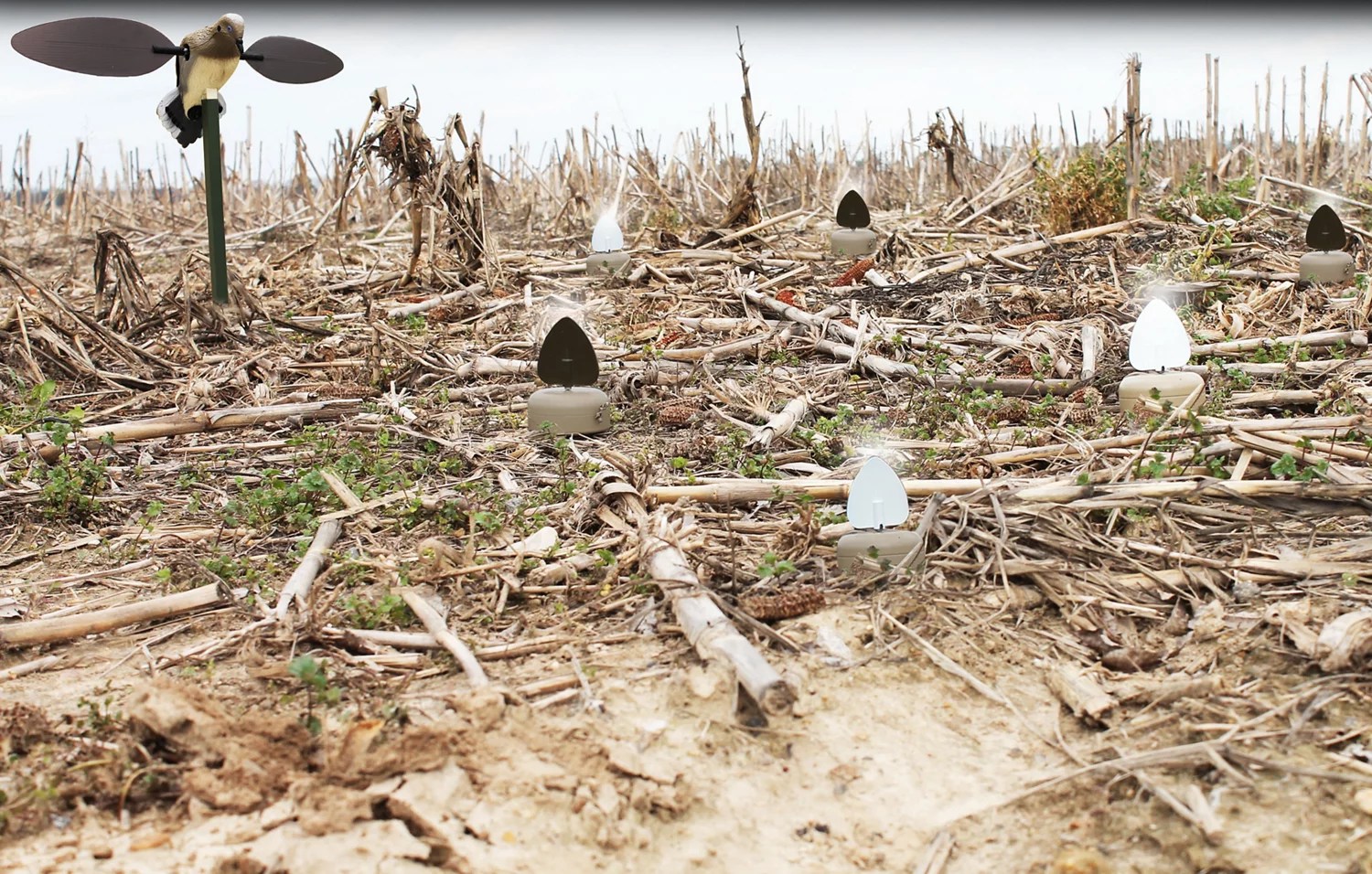 MOJO Outdoors Dove A Flickers Decoys 4Pack Academy