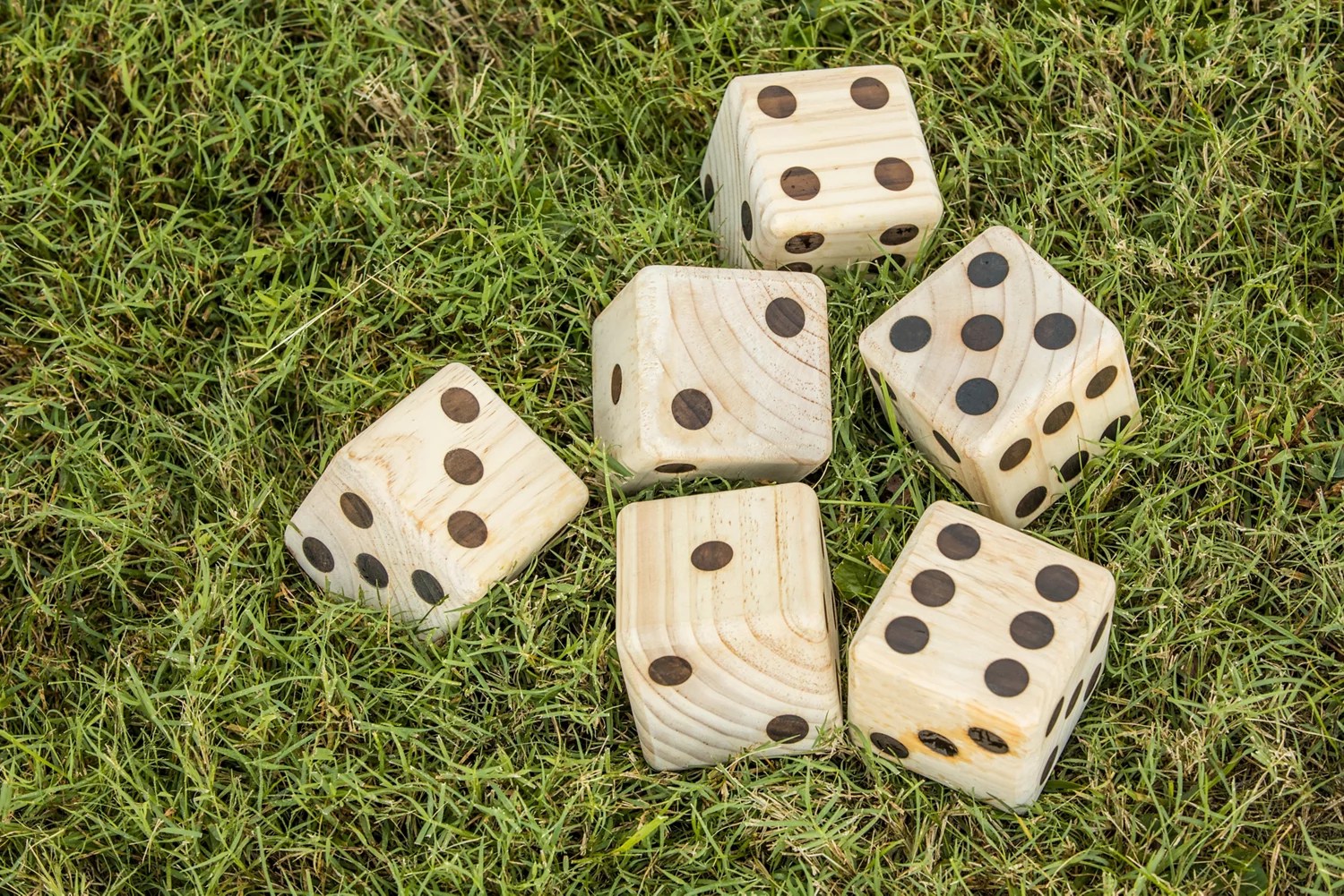 Triumph Big Roller Lawn Dice Game Free Shipping at Academy