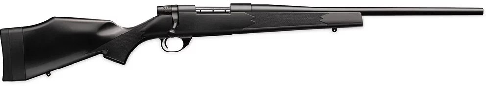 Weatherby Youth Vanguard Series 2 .243 Winchester BoltAction Rifle