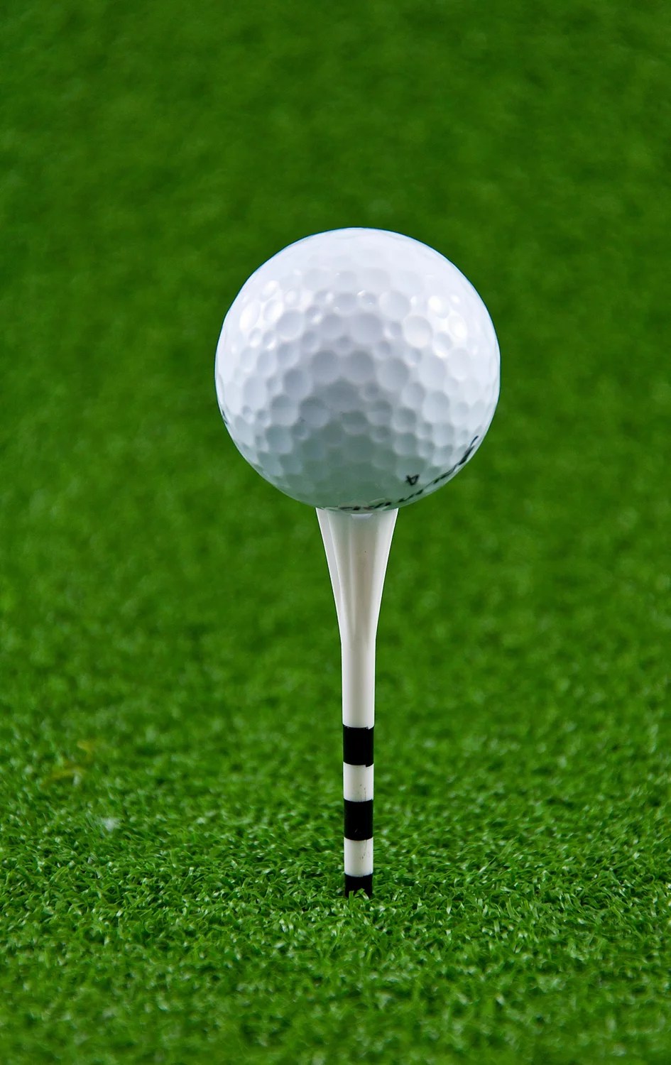 Players Gear 31/4 in Assorted No Resistance Lined Golf Tees 30Pack