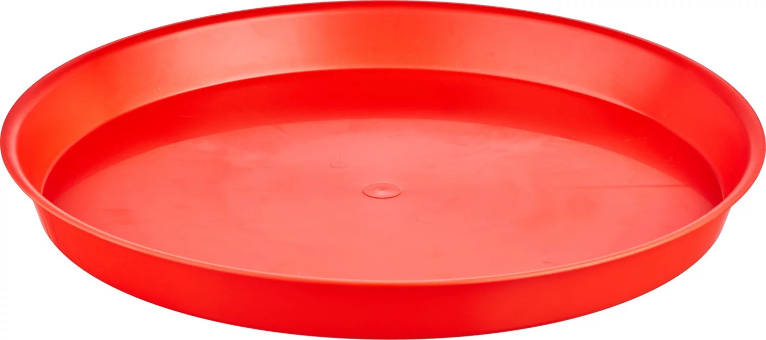 Academy Sports + Outdoors 16 in Crawfish Cookout Platter Academy