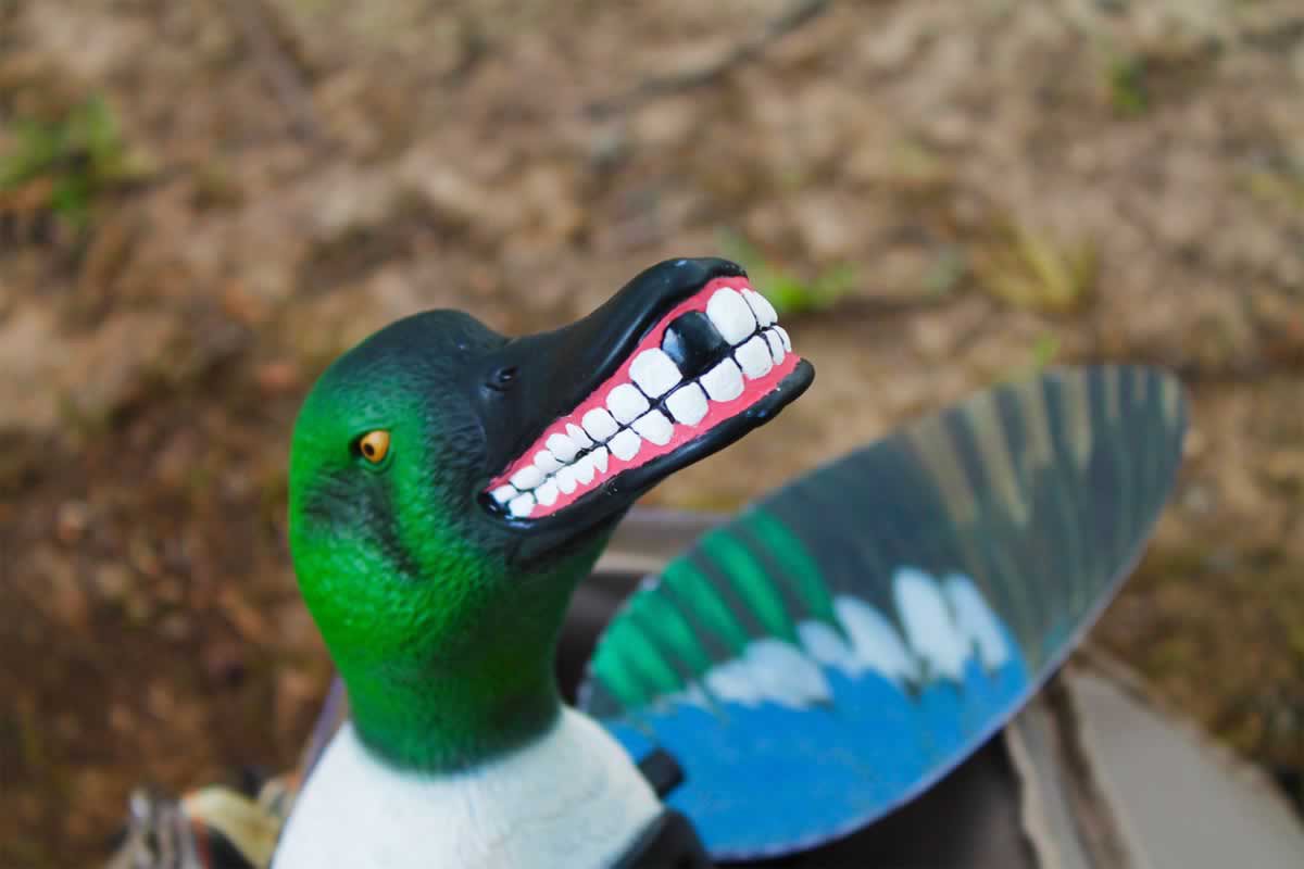 MOJO Outdoors Spoonzilla Spinning Wing Duck Decoy Academy