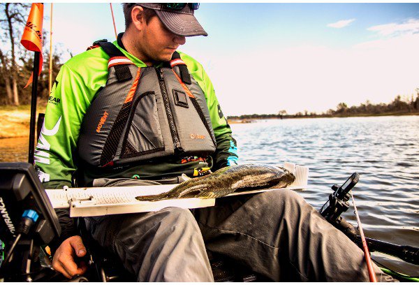 YakGear The Fish Stick Ruler Free Shipping at Academy