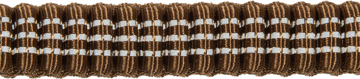 Carhartt 6 ft Shock Absorbing Dog Leash Academy