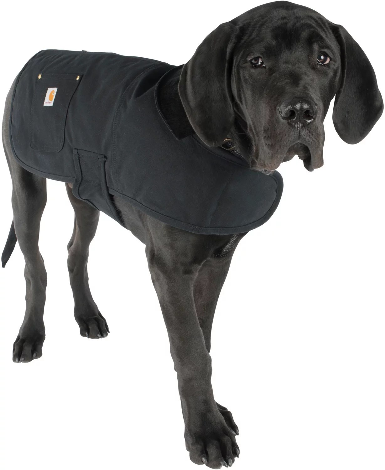Carhartt Dog Chore Coat Free Shipping at Academy