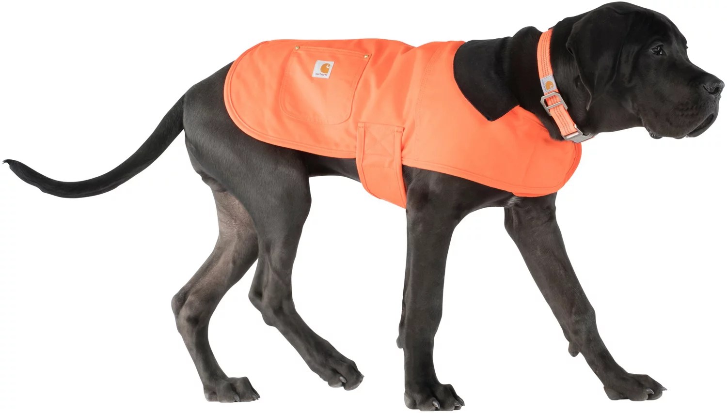 Carhartt Dog Chore Coat Free Shipping at Academy