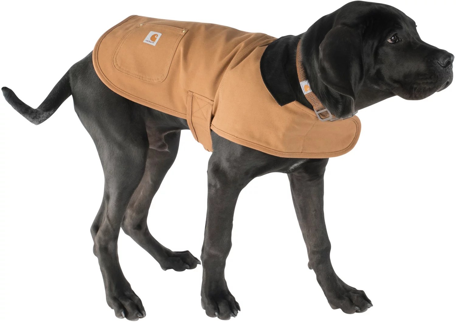 Carhartt Dog Chore Coat Free Shipping at Academy