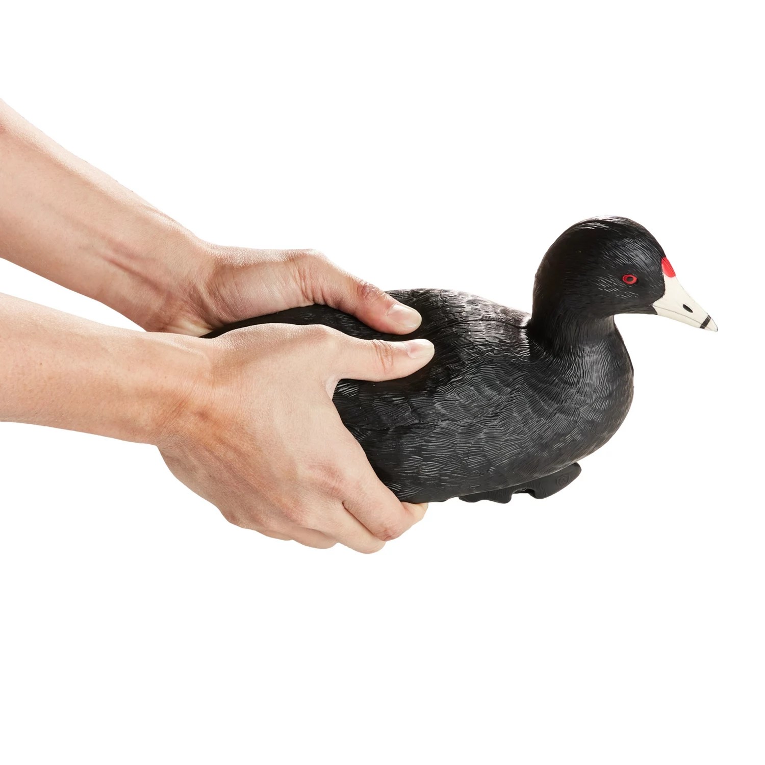 Game Winner FlexTuff Coot Decoys 6Pack Academy