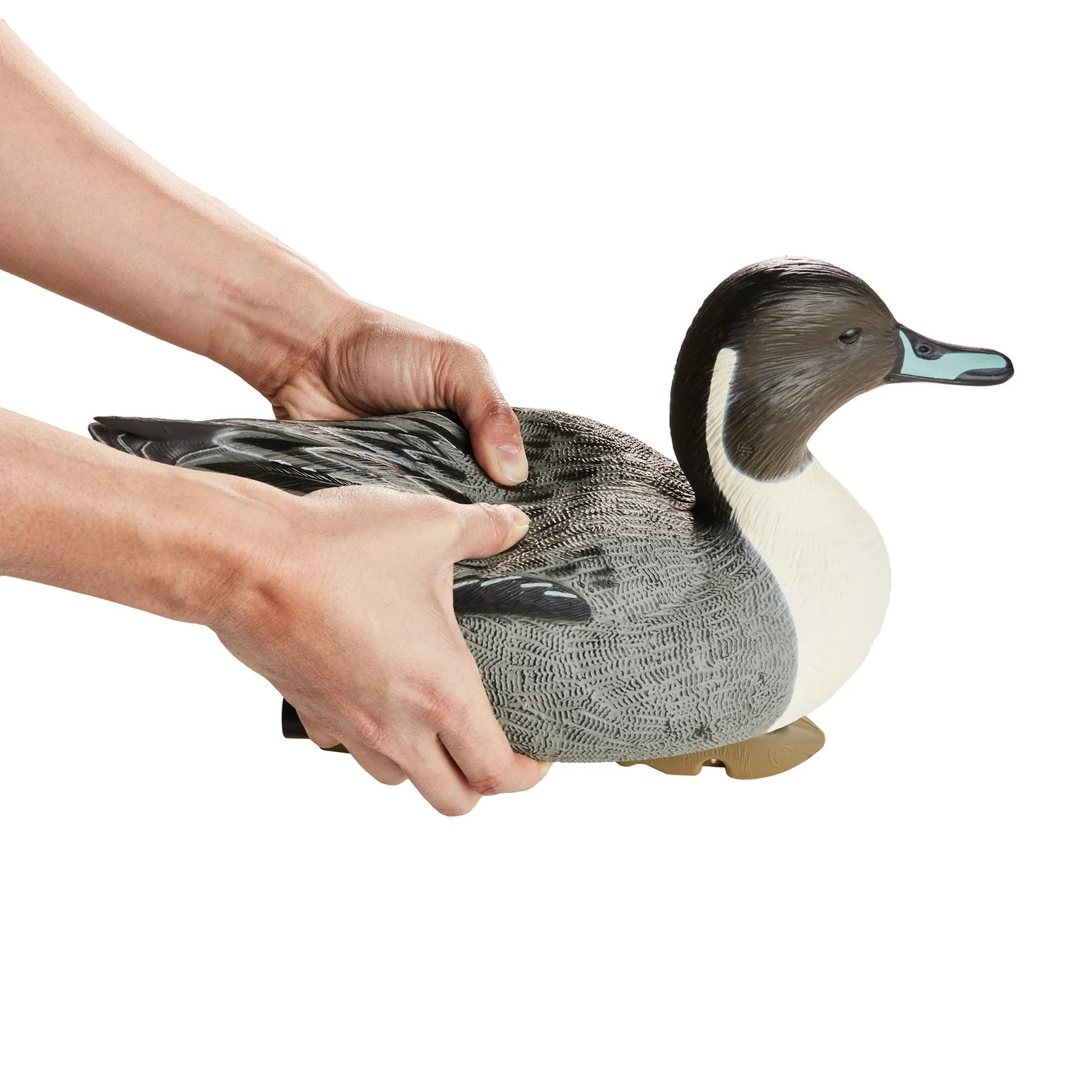 Game Winner FlexTuff Pintail Decoys 6Pack Academy