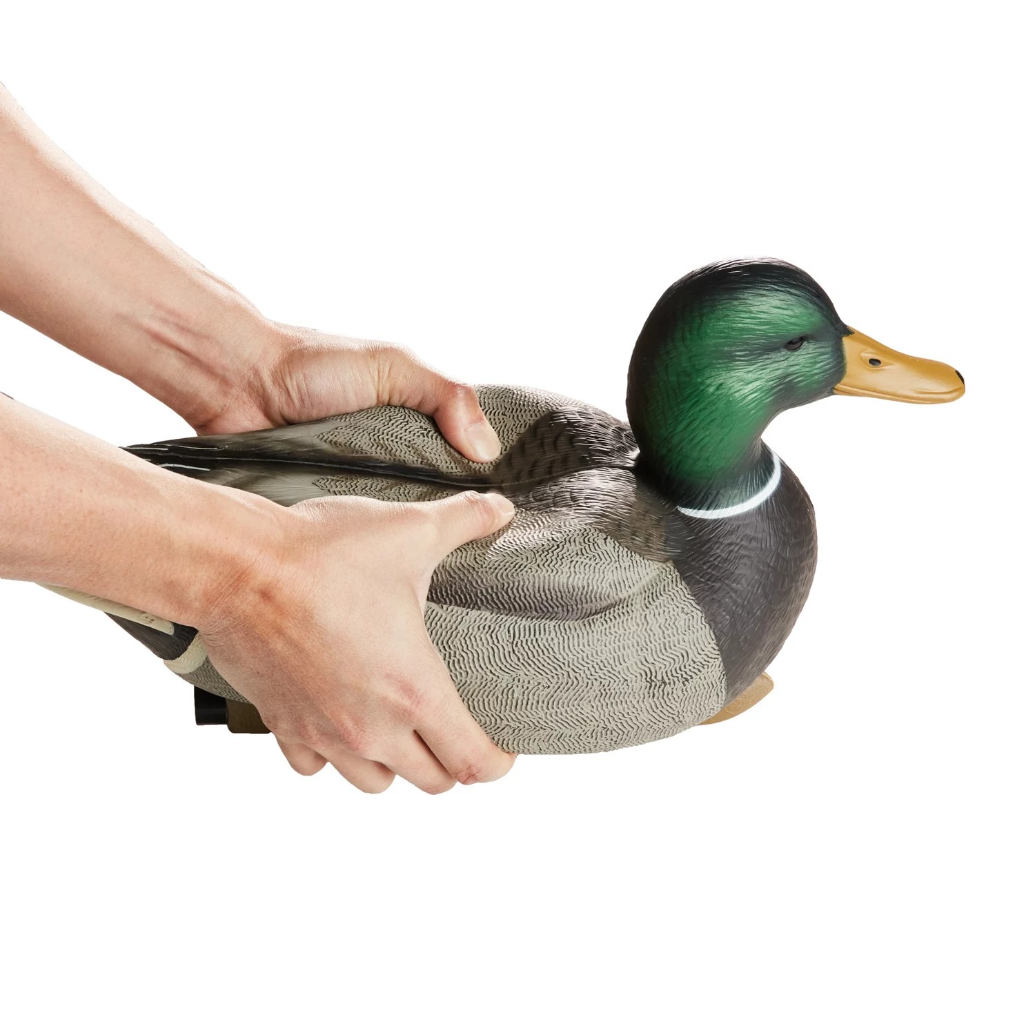 Game Winner FlexTuff Mallard Decoys 6Pack Academy