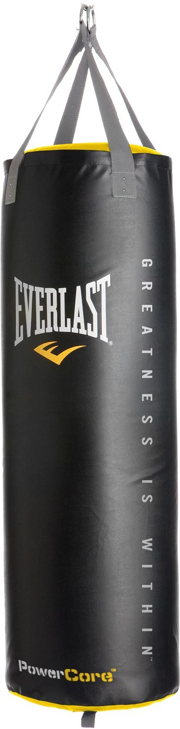 Everlast® Powercore 100 lb. Synthetic Leather Heavy Bag Academy