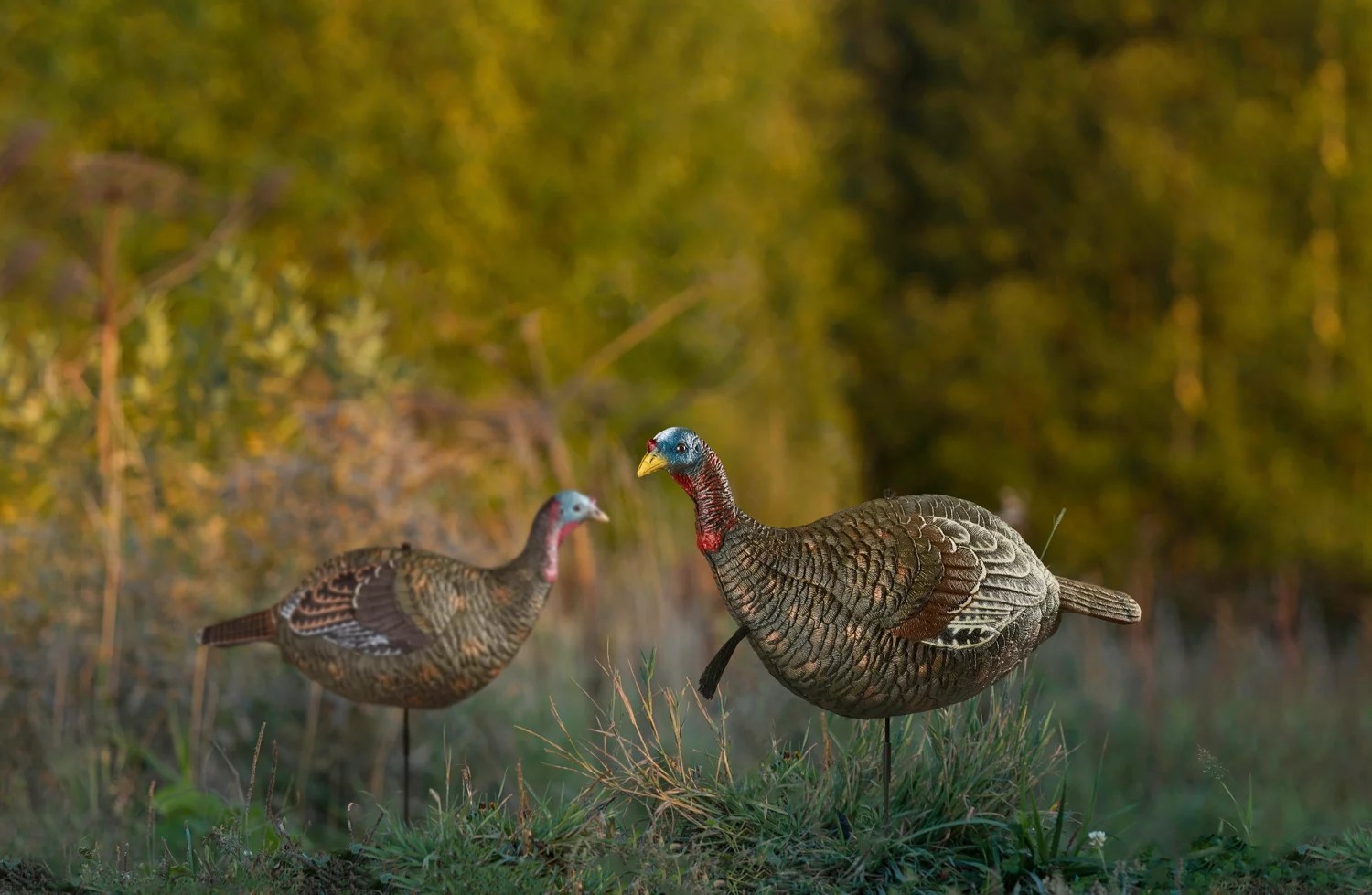 Game Winner Premium Jake Decoy Academy