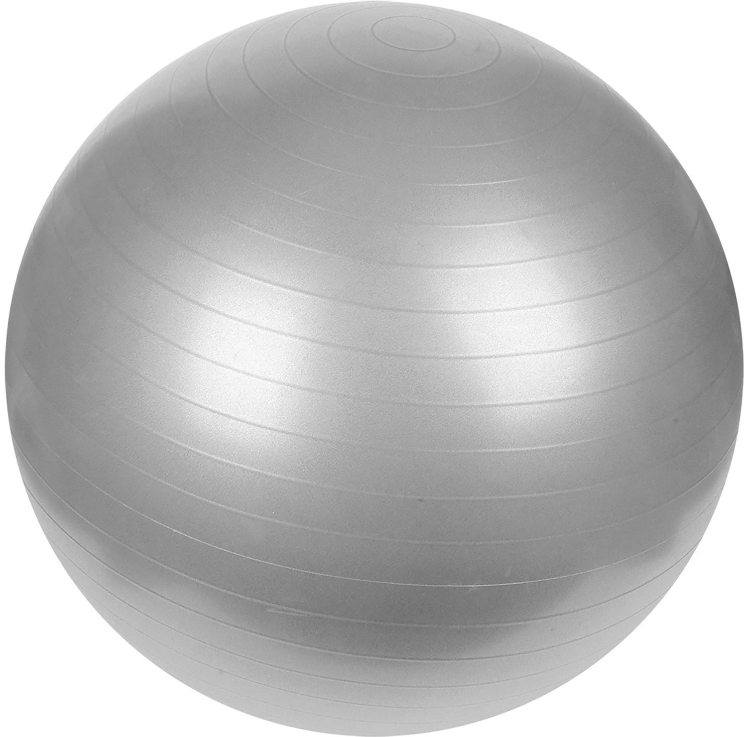 Sunny Health & Fitness 65 cm Antiburst Gym Ball Academy