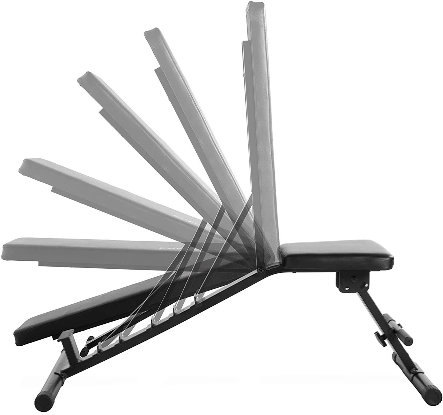 CAP Barbell MultiPurpose Utility Bench Academy