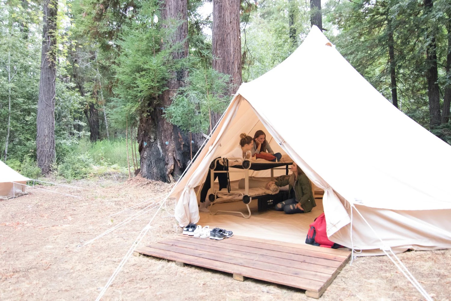 DiscOBed XL with Organizers Cot System Academy