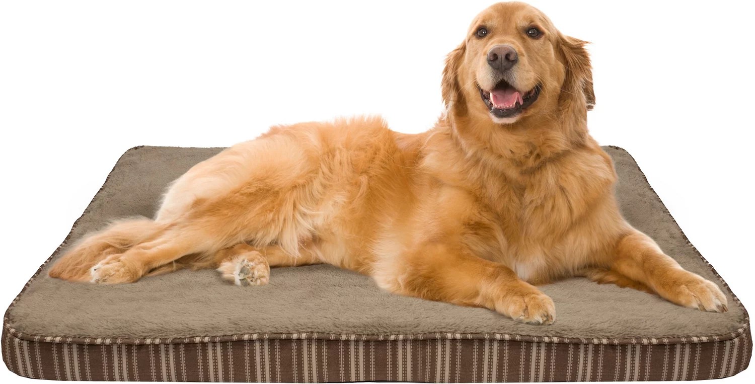 Cozy Pet Orthopedic 27 in x 36 in Pet Bed Academy